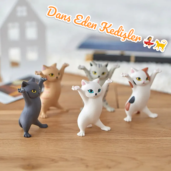 Dans Eden Kedişler (Kalem Tutacağı) (5'li Paket)