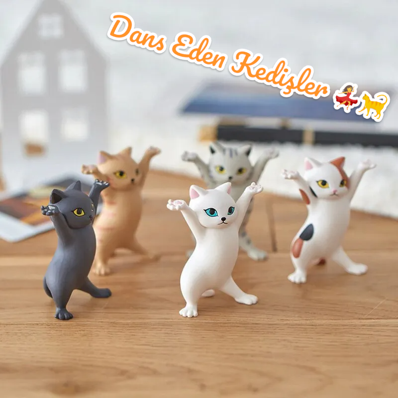 Dans Eden Kedişler (Kalem Tutacağı) (5'li Paket)